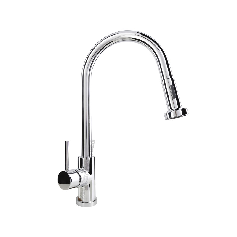 Single lever Sink Mixer