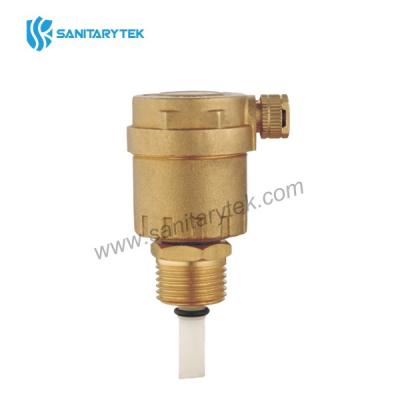 Automatic air vent valve with check valve