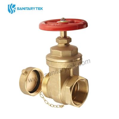 Brass forged hose gate valve 2 1/2 with cap and chain 