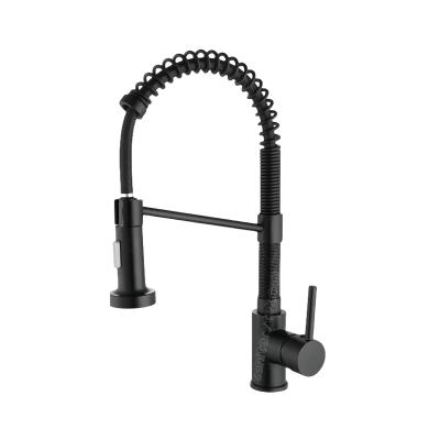 Pull-down single handle kitchen faucet in matte black