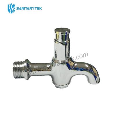 Wall-mounted faucet with water dispensing button - 副本